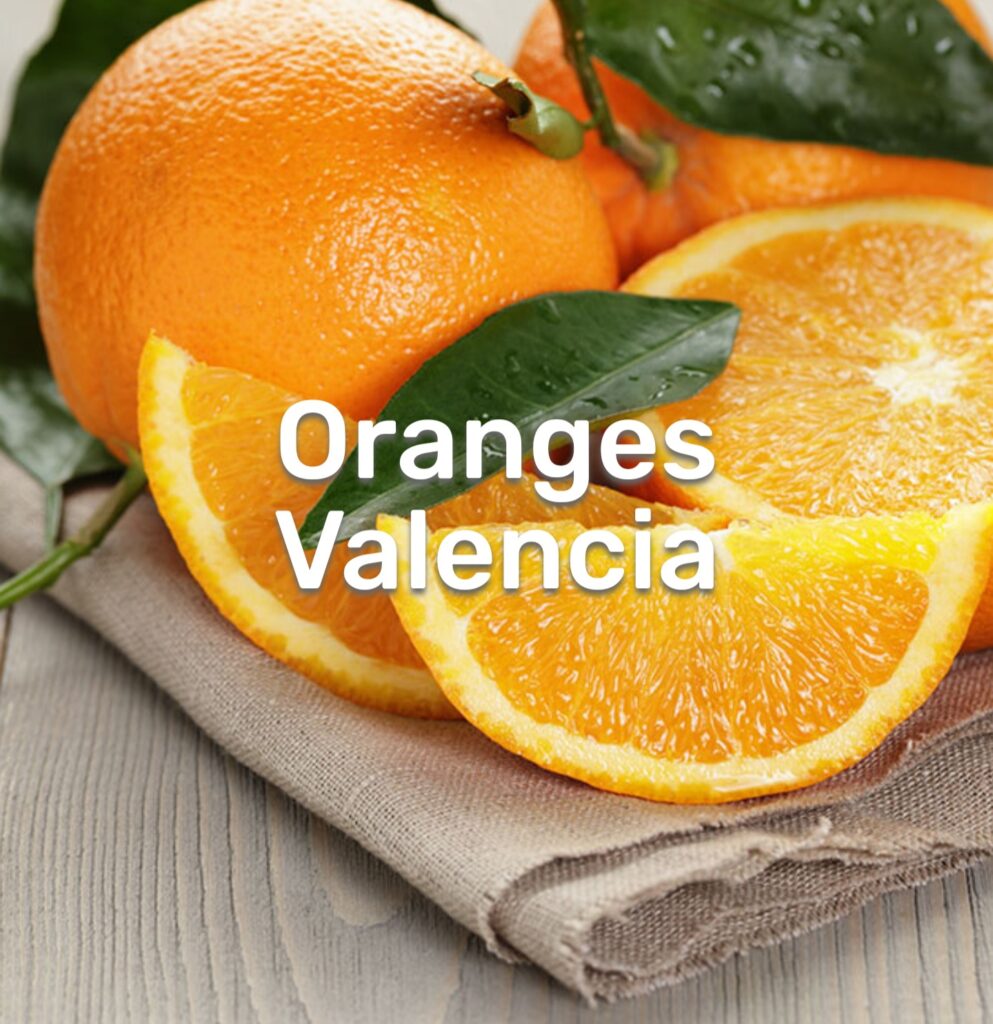Valencia Oranges - Gadex For Import &amp; Export